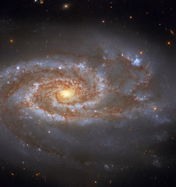 Hình ảnh mà Hubble ghi lại được cho thấy rõ các luồng bụi và vật chất phát sáng đang chuyển dịch qua lại giữa 2 thiên hà, nhưng có vẻ chủ yếu là chuyển từ thiên hà nhỏ sáng thiên hà lớn.