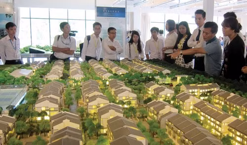 Năm 2015, hoạt động mở bán dự án nhà liền kề, biệt thự dù đã nhiều hơn năm 2014, nhưng ít dự án tạo ra sự đột biến về thanh khoản.