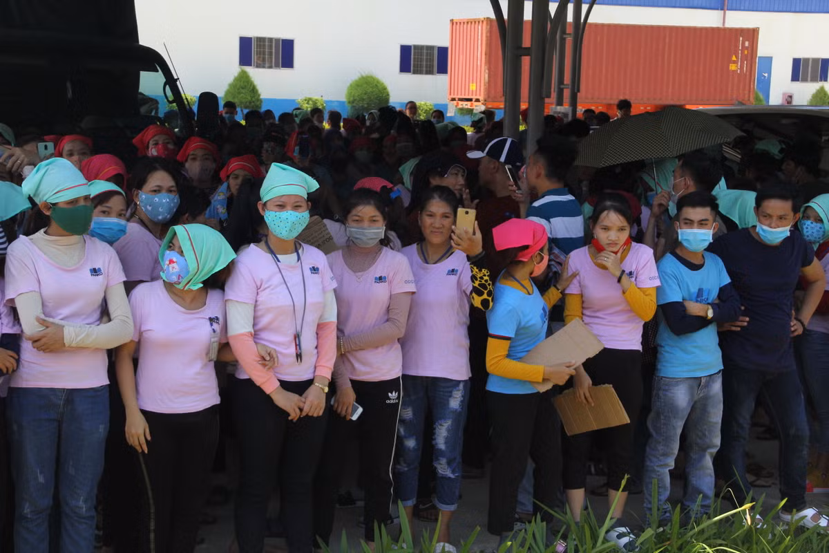Vụ suất ăn trưa có giòi: Giám đốc công ty Panko xin lỗi công nhân - Hình 3 Vu suat an trua co gioi: Giam doc cong ty Panko xin loi cong nhan-Hinh-3