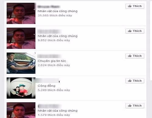 Gia mao facebook Nguyen Hai Duong de cau like co pham toi?