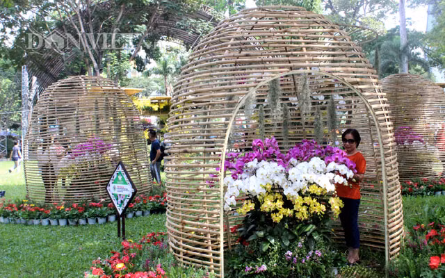 Chị Triệu Thị Trinh (Quận 3) cho biết chưa bao giờ nhìn thấy bộ sưu tập hoa lan nhiều chủng loại và đa dạng sắc màu như vậy. Từ các giống hoa miền nhiệt đới như denrobium, mokara cho tới lan hài miền ôn đới, lan cấy mô trong ống nghiệm cũng được giới thiệu.