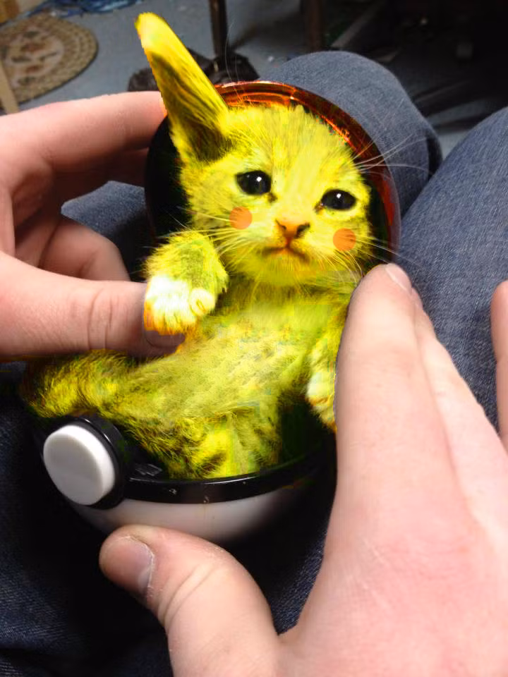 Có người còn sắm hẳn một quả bóng Pokemon ball để chứa chấp Pikachu mèo của mình.