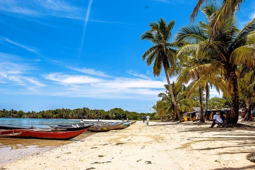 Sainte Marie cung cấp cho những tên cướp biển một nơi trú ẩn an toàn, giúp chúng có thể cướp bóc một cách dễ dàng. Sainte Marie có nhiều vịnh hút gió, giúp cướp biển bảo vệ được những con tàu khỏi các trận bão. Đặc biệt, các loại trái cây dồi dào và phụ nữ địa phương sẽ thỏa mãn những cơn đói và sự thèm khát xác thịt của cướp biển. (Nguồn Amusing Planet)