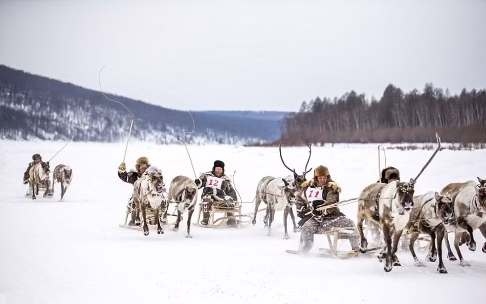 Ở Yakutia, tuần lộc là phương tiện di chuyển chính của người dân nơi đây. Người dân cũng thường tổ chức đua tuần lộc để giảm bớt căng thẳng. Trong ảnh là cuộc đua trong lễ hội tuần lộc Khatystyr, một sự kiện giúp hợp nhất các cộng đồng du mục ở Khatystyr, Nga. (Nguồn Sina)