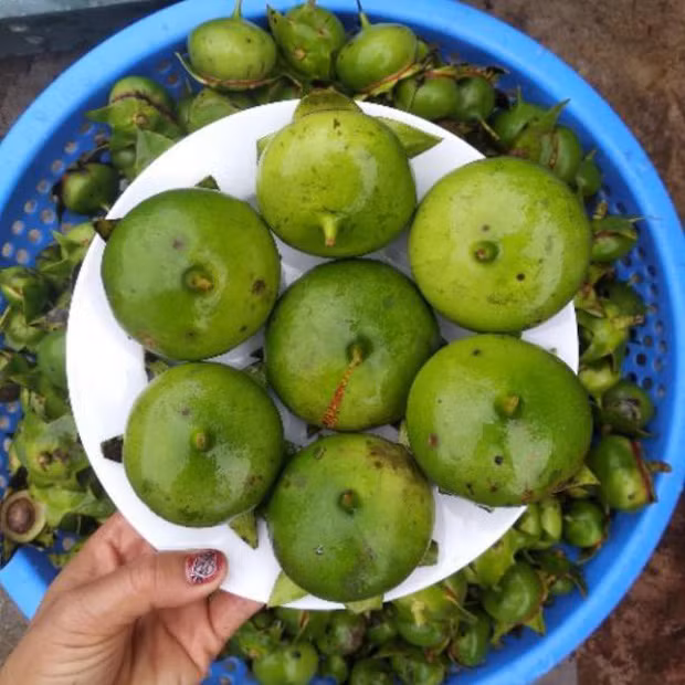 Chưa cần nếm thử, thế nhưng chỉ qua hình ảnh và cách ăn đã khiến cư dân mạng thèm "ứa nước miếng".