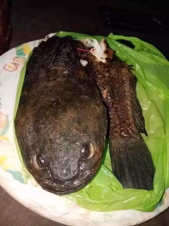 Mắt thao láo kiểu này thì có ai mà dám động đũa.