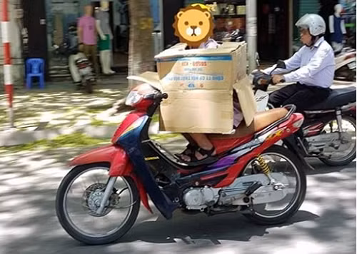 Người này còn chui hẳn trong thùng giấy thách thức mọi nhiệt độ.