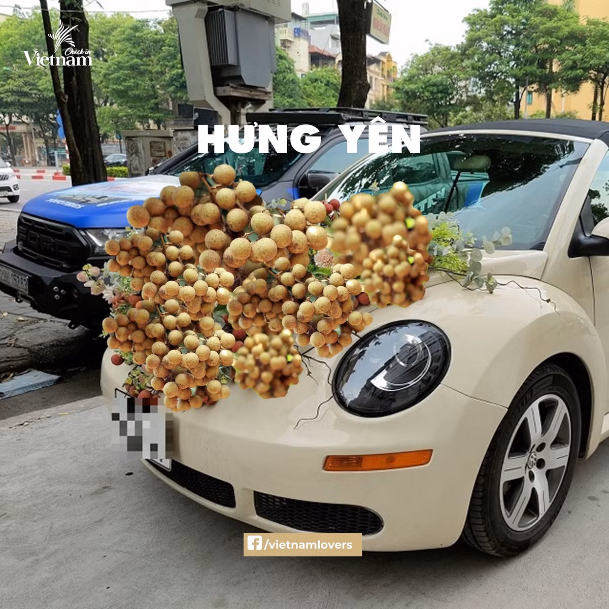 Rước dâu Hưng Yên phải kết xe hoa nhãn lồng mới đúng chuẩn. Ảnh: Check in Vietnam