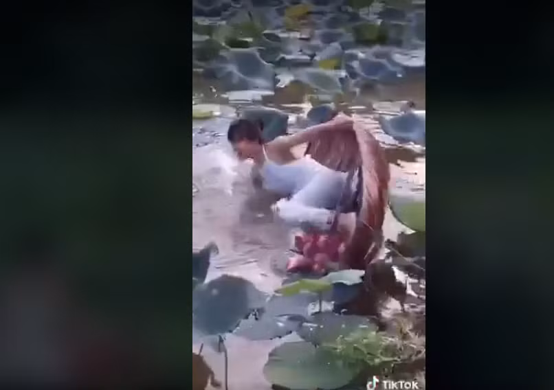 Có lẽ cô gái này mong muốn có được những bức ảnh chụp với sen cực "đắt giá" mà quá mải mê tạo dáng khiến chiếc thuyền lật lúc nào không hay.