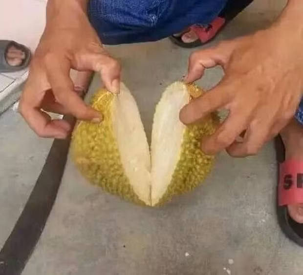 Mới đây, một chàng trai Trung Quốc đã chia sẻ đoạn clip bổ quả sầu riêng săn sale được trên mạng với giá 30 ngàn VNĐ. Khi hàng về thì chàng trai này đã hí hửng bổ nó ra và quay clip chia sẻ lên MXH.