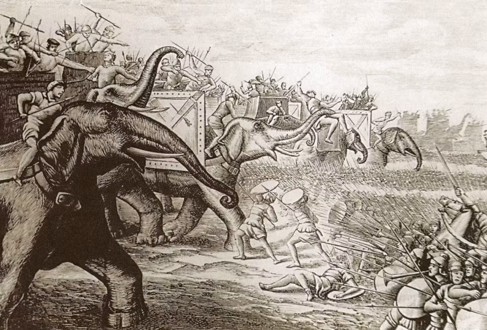 Theo các sử gia, chỉ trong 1 ngày giao chiến với quân đội La Mã, tướng sĩ của Hannibal Barca đã tiêu diệt hoặc bắt làm tù binh 70.000 kẻ địch. Đây được coi là thắng lợi lớn của danh tướng Hannibal Barca. Mời độc giả xem video: Tái hiện trận chiến lịch sử của Hoàng đế Pháp Napoleon(nguồn: VTC)