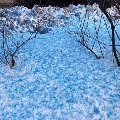 Khi chứng kiến hiện tượng bí ẩn này, người dân thành phố St Petersburg không khỏi kinh ngạc và lo lắng.