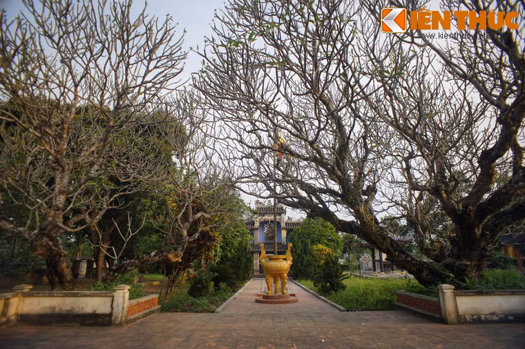 Ban đầu, chùa thuộc xóm Cồn Bệ - trung tâm của làng Hiền Lương. Nhưng về sau dân làng với lý do tránh sự tranh chấp đất đai đã dời chùa sang khu đất tiếp giáp với làng Phú Lễ.
