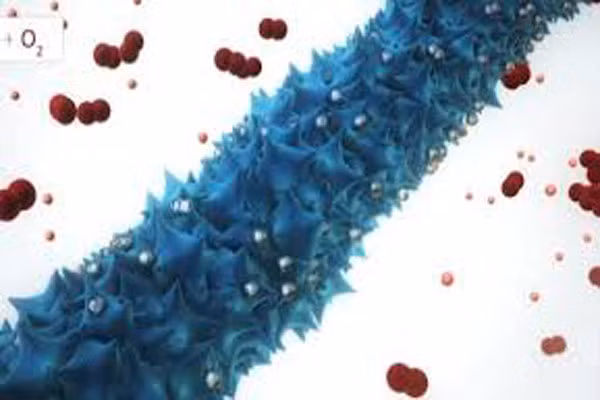 8. DNA đã được bắt nguồn từ hơn 300.000 năm trước đây. Trong năm 2013, các nhà khoa học cho biết họ đã tìm thấy một nhiễm sắc thể Y ở cổ của một người đàn ông Mỹ gốc Phi ở Nam Carolina. Nó đã được truyền lại nguyên vẹn từ 338.000 năm, trước những hóa thạch sớm nhất của con người hiện đại. Các nhiễm sắc thể mang gen đột biến mà các nhà khoa học đã tứng thấy ở những người của bộ tộc Mbo ở Cameroon. Điều đó có nghĩa rằng tổ tiên của Mbo giao phối với một người châu Phi cổ xưa.