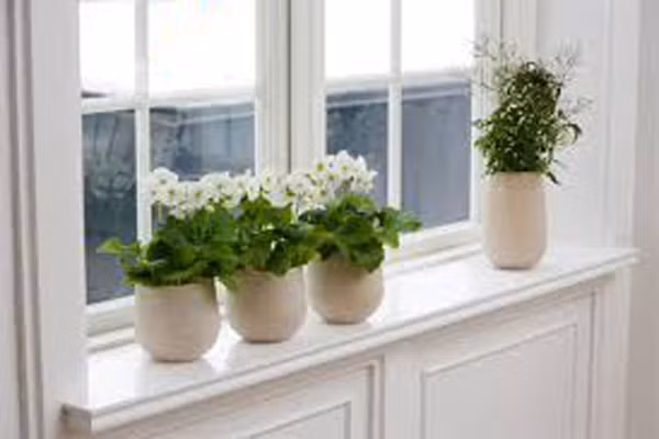 Không nên dùng những sản phẩm làm sạch nhân tạo như thuốc xịt để “tẩy rửa” không khí. Bạn có thể thay đổi bằng cách trồng cây xanh trong nhà, làm sạch bằng nước chanh và dấm hay đơn giản là một bát hoa và thảo dược.