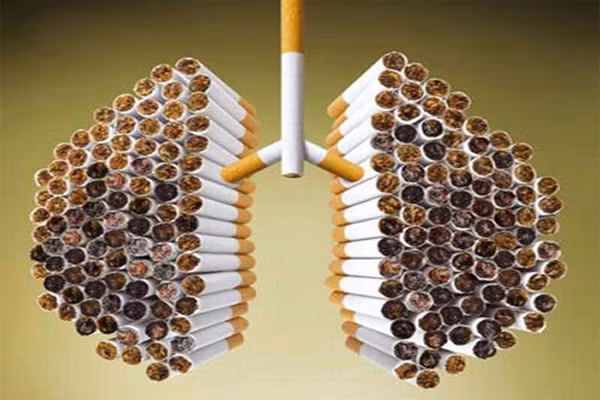 Hút thuốc. Tỷ lệ mắc bệnh ung thư phổi liên quan đến thuốc lá chiếm tới 90%. Theo kháo sát, một người hút 2 gói thuốc lá mỗi ngày trong 10 năm có nguy cơ mắc ung thư phổi rất cao. Tỷ lệ tử của những người này là cứ 7 người hút thuốc lá thì 1 người chết vì bệnh ung thư phổi.