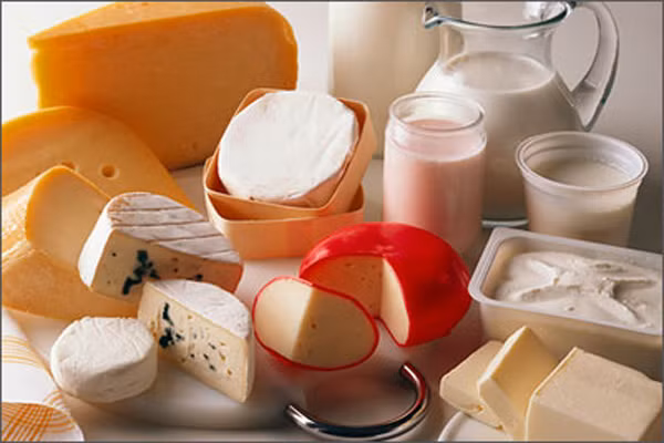 Chúng cung cấp các vi khuẩn có lợi cho đường ruột, đó là những vi khuẩn trong dạ dày. Nếu mất đi những vi khuẩn này có thể dẫn đến viêm hay ruột thấm, béo phì, bệnh và các vấn đề sức khỏe tâm thần khác.