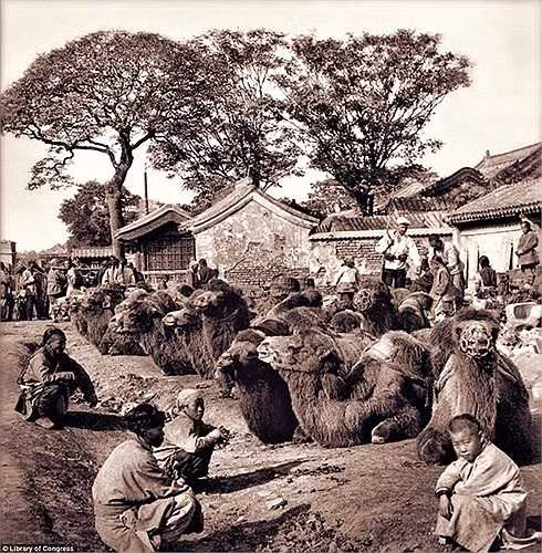 Một người lính Nga trò chuyện cùng chủ nhân bầy lạc đà ở Bắc Kinh vào năm 1901. Khi đó Bắc Kinh còn là một trong số nhiều thành phố của Trung Quốc đang thuộc quyền cai trị của nước ngoài.