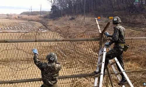 Park Mee-ja: Co thu vi it nguoi biet ve khu phi quan su (DMZ)