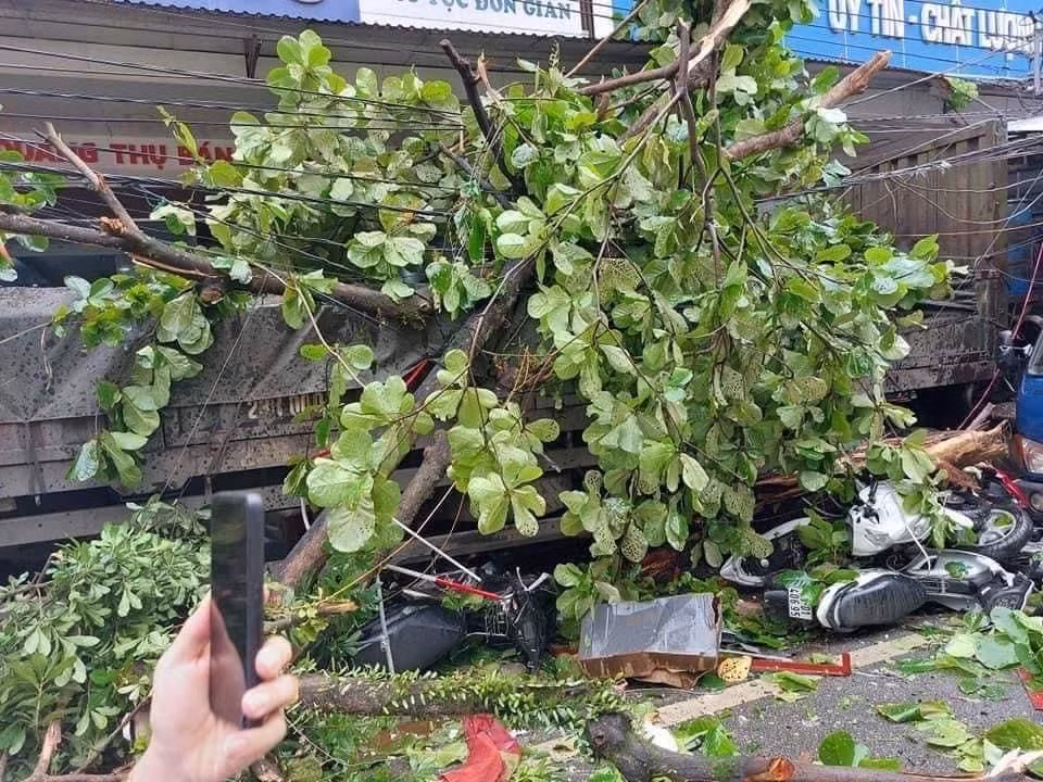 Trước đó, vụ tài xế container đánh lái tránh 2 người, tông vào nhiều nhà dân xảy ra vào sáng 8/6, sau khi lấy hàng xong anh điều khiển xe container từ Phú Thọ về Hà Giang trên Quốc lộ 2. Trong lúc di chuyển đến địa bàn tổ 4, thị trấn Việt Quang, huyện Bắc Quang (Hà Giang) thì bất ngờ có chiếc xe máy chở 2 người chuyển hướng sang đường đột ngột.