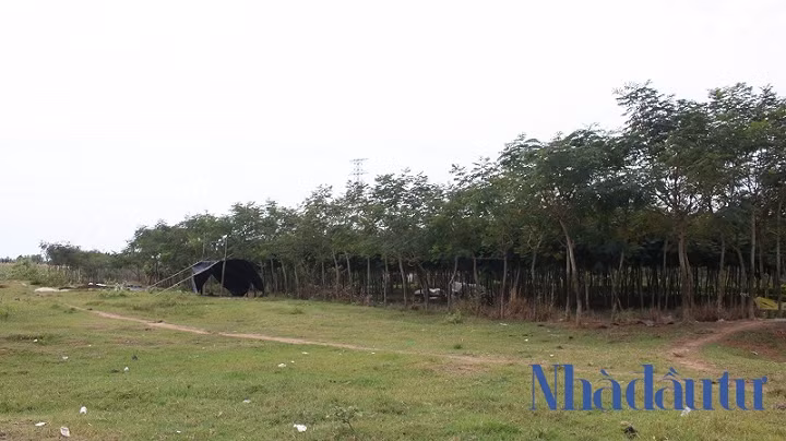 Ben trong du an Phuoc Kien ong Tat Thanh Cang dong y ban cho QCGL-Hinh-9