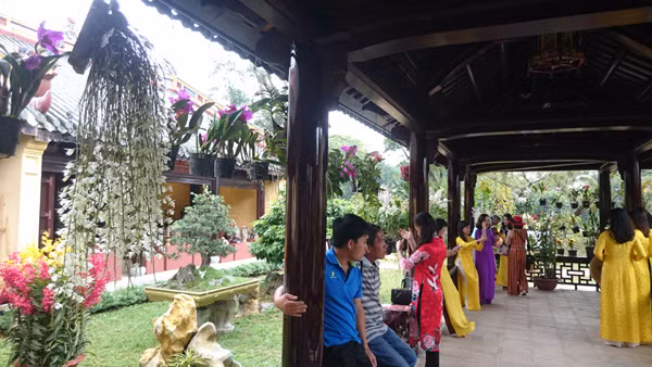 Nhiều phụ nữ diện áo dài chụp ảnh trong không gian hoa lan thanh cao, quý phái. Ảnh: Trần Hòe.