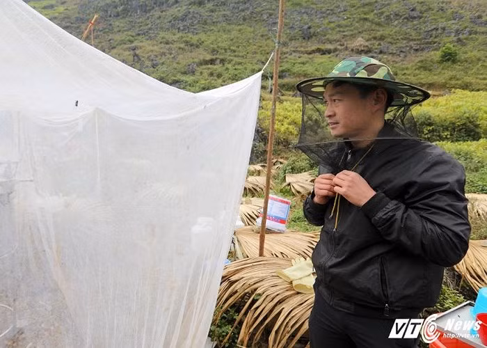 Anh Phạm Ngọc Doanh, người Nam Định đang nuôi ong ở đây cho biết, ong không biết ai là thân, ai là lạ, chỉ cần có động vào tổ của chúng là ngay lập tức cả đàn sẽ bâu vào đốt.