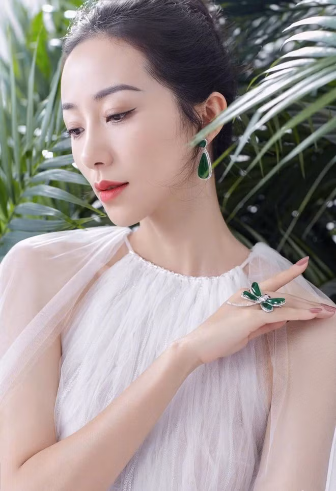 Với gia thế quyền lực, Hàn Tuyết có một sự nghiệp vững chắc và ổn định trong làng giải trí dù không có nhiều tác phẩm xuất sắc.