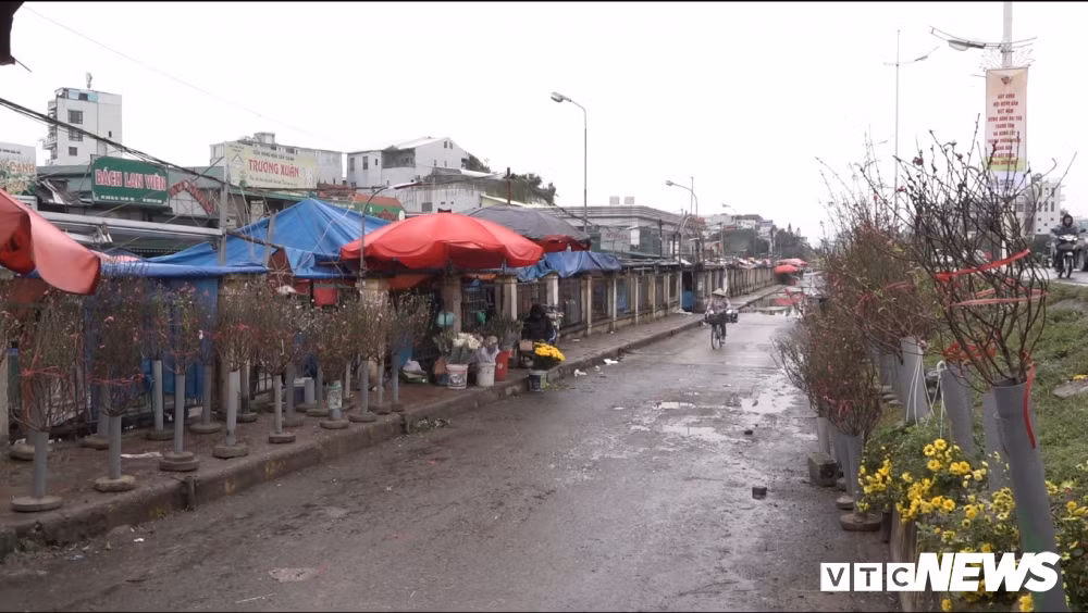 Trong những ngày qua, một số cửa hàng bán hoa tại chợ Quảng An, Tây Hồ, Hà Nội đã bắt đầu bán những cành đào bích đầu tiên.