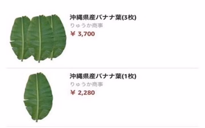Một chiếc lá chuối tươi được rao bán trên trang Amazon Nhật Bản với giá 2.280 yên, tương đương gần 500.000 đồng, trong khi ở Việt Nam người dân đa phần toàn chặt bỏ đi. Ảnh: Amazon.