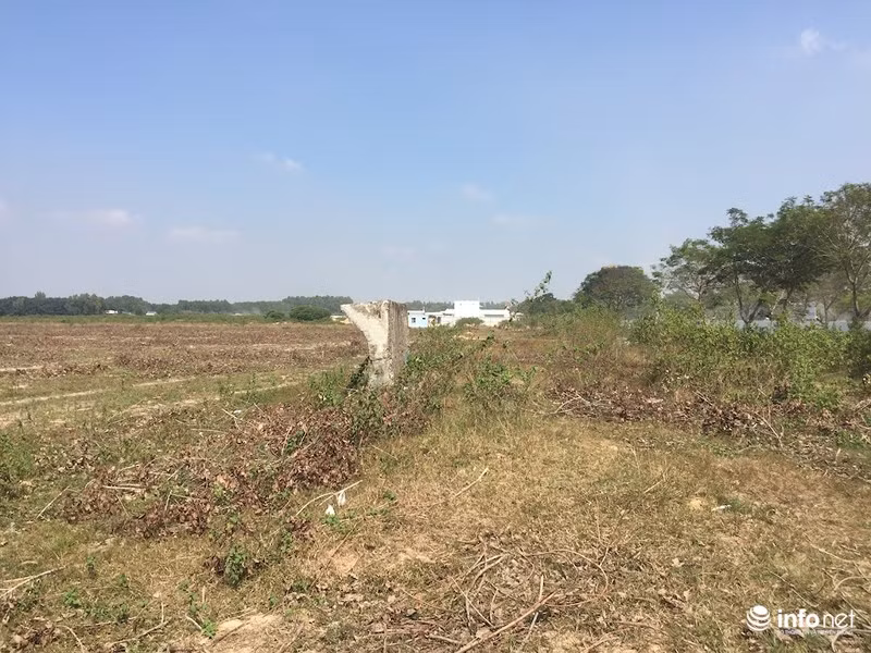 KDT “ma” Nhon Trach: La liet du an bo hoang, chung cu khong nguoi o