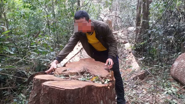 Tham nhap rung Kbang: Tan thay go khong lo bi "xe thit"-Hinh-8