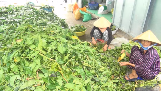Xon xao thuong lai “bi an” thu mua luong lon la nhau-Hinh-2