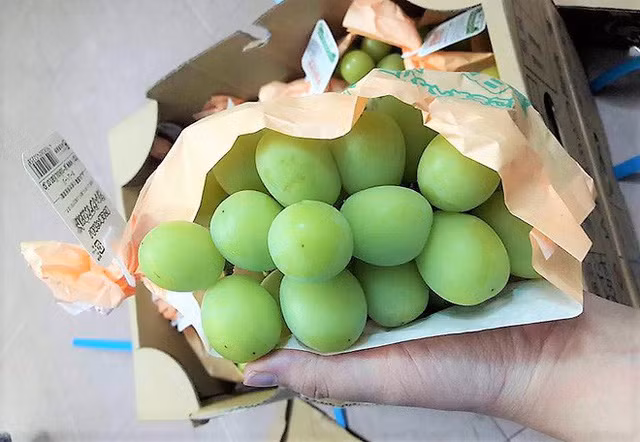 Nho mẫu đơn có giá bán trên 1 triệu đồng đang được khách hàng Việt tìm mua.