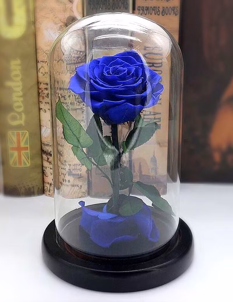 Bong hong xanh gia 3,5 trieu: Chong dam tang vo ngay Valentine?-Hinh-2