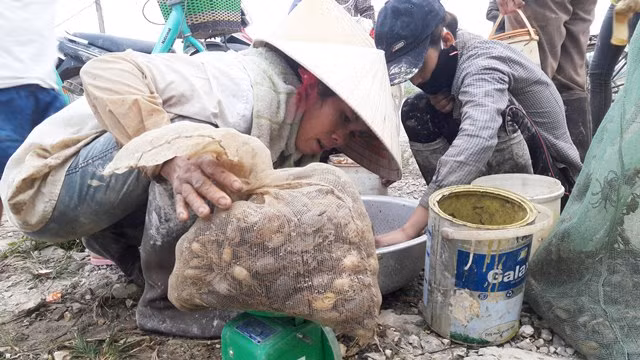 Kiem tien “de ot” nho gia cua dong sot xinh xich-Hinh-4