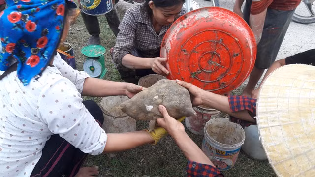 Kiem tien “de ot” nho gia cua dong sot xinh xich-Hinh-3
