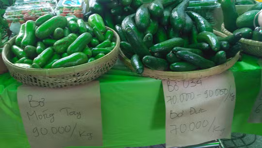 Bơ móng tay siêu nhỏ bên cạnh các loại bơ thông thường.
