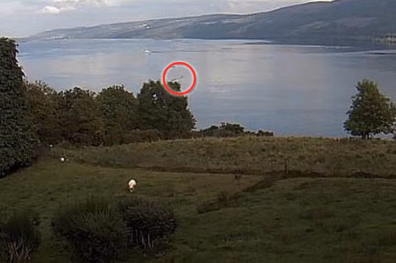 Thêm bằng chứng quái vật hồ Loch Ness tồn tại - Hình 2 Them bang chung quai vat ho Loch Ness ton tai-Hinh-2