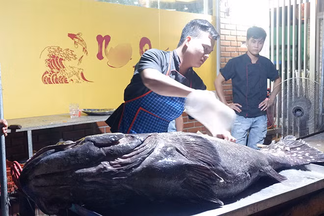 Can canh “thuy quai” hon 1 ta vua "cuoi" may bay ve Ha Noi-Hinh-5