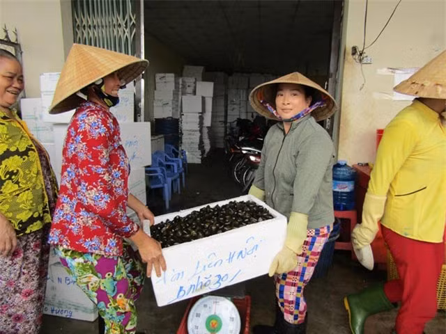 Dua oc buou di may bay, kiem bac trieu moi ngay