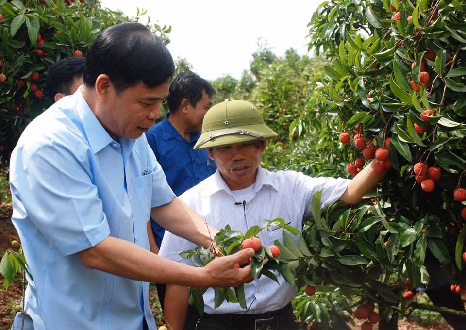 Bộ trưởng Bộ NNPTNT Nguyễn Xuân Cường khảo sát tình hình tiêu thụ vải.