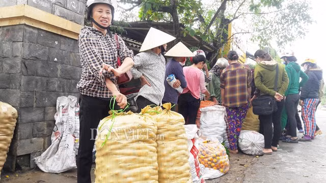 Ve xu so hong khong hat co thu, nguoi dan thu 8 ty moi vu-Hinh-3