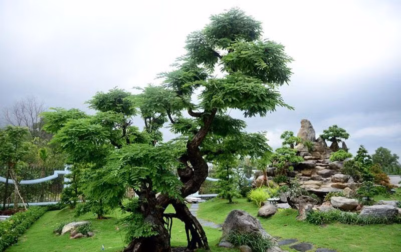 Nhung nghe si tung bi 