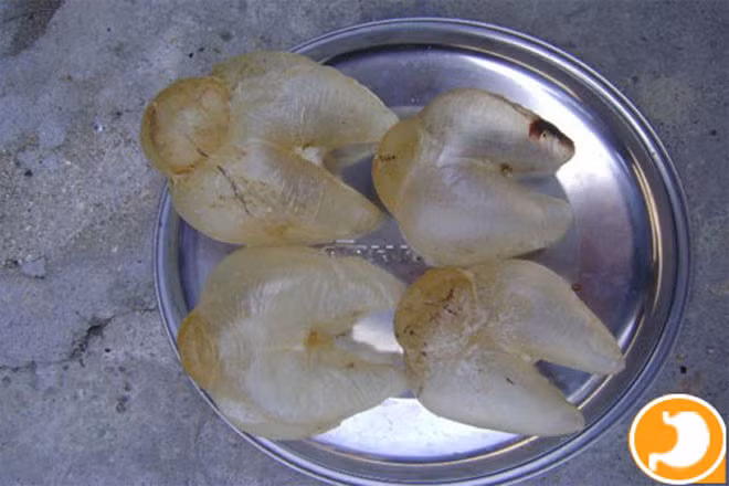 Bóng cá sủ vàng được đồn đoán có công dụng chữa bệnh dạ dày nên giá bán hàng chục triệu đồng. (Ảnh: Internet)