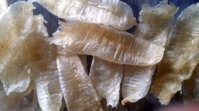 Bong bóng cá tra khô có giá 3 - 4 triệu đồng/kg. (Ảnh: vatgia).
