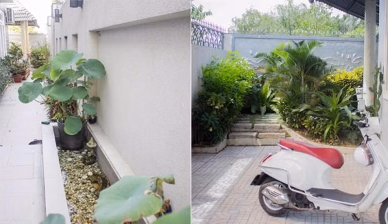Loat sao Viet bi trom dot nhap, vo tinh lo co ngoi cuc 