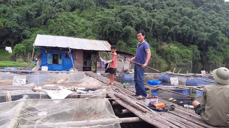 Bà con nông dân phường Thái Thịnh, TP. Hòa Bình có thu nhập cao nhờ nghề nuôi cá lồng.