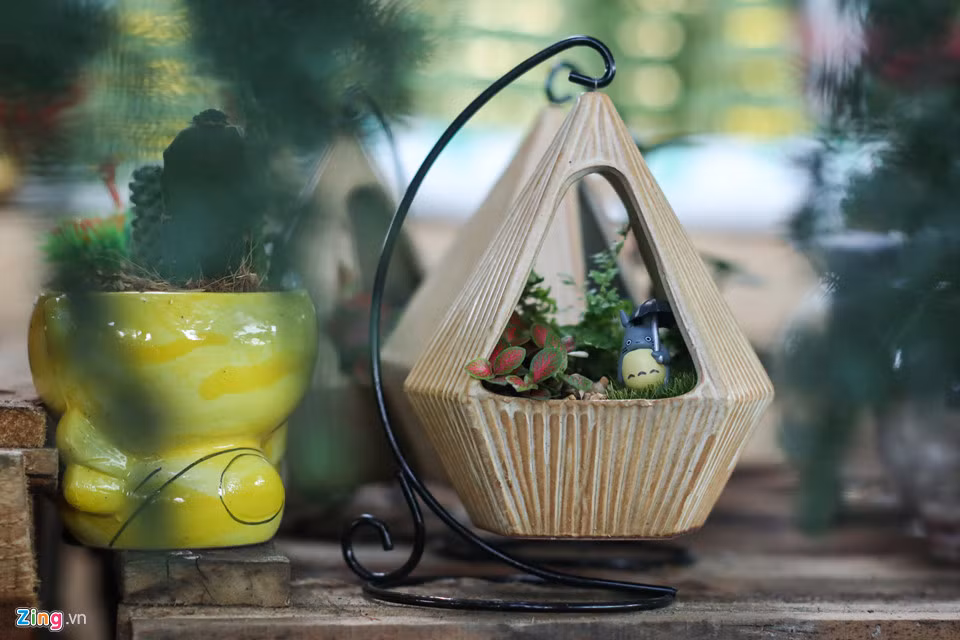 Hoa kiểng xuất xứ từ Trung Quốc có đặc điểm dễ nhận biết là trang trí với hình thức đẹp và bắt mắt.