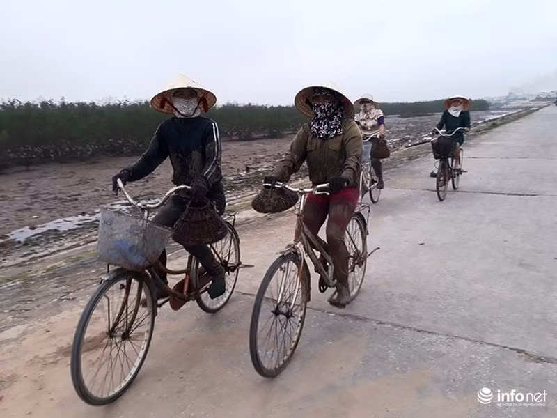 Thủy triều lên cũng lúc những người phụ nữ mưu sinh bằng nghề bắt cá còi lại trở về với gia đình.